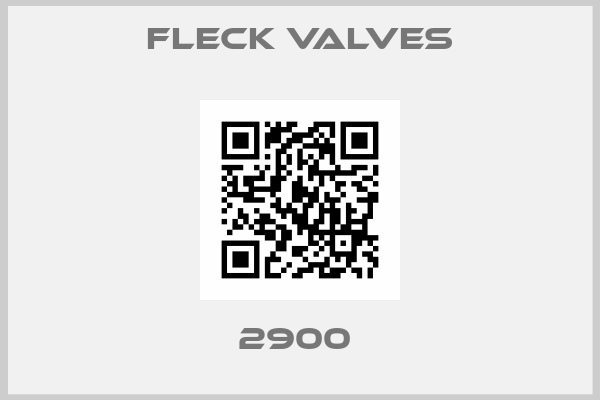 Fleck Valves-2900 