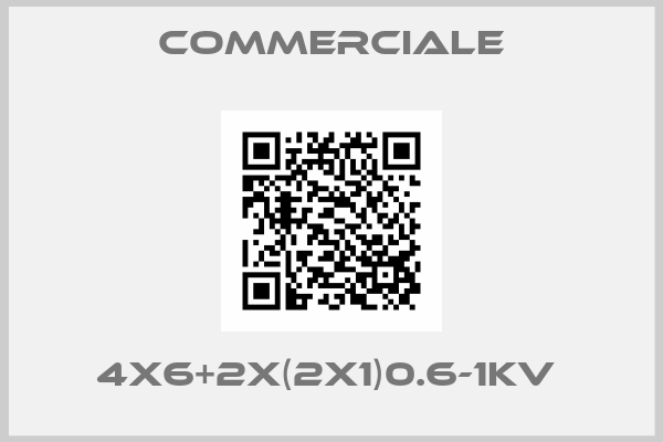 Commerciale-4X6+2X(2X1)0.6-1KV 
