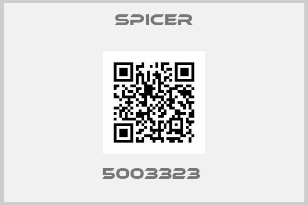 Spicer-5003323 