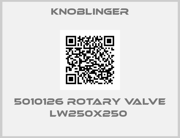 Knoblinger-5010126 ROTARY VALVE LW250X250 