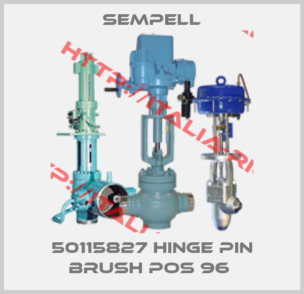 Sempell-50115827 HINGE PIN BRUSH POS 96 