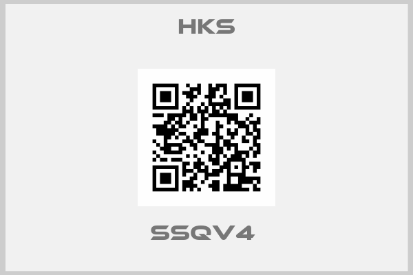 Hks-SSQV4 