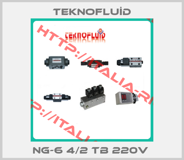 TEKNOFLUİD-NG-6 4/2 TB 220V 