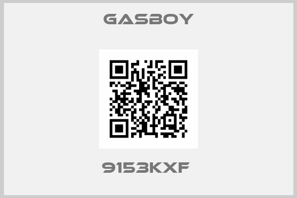 Gasboy-9153KXF 