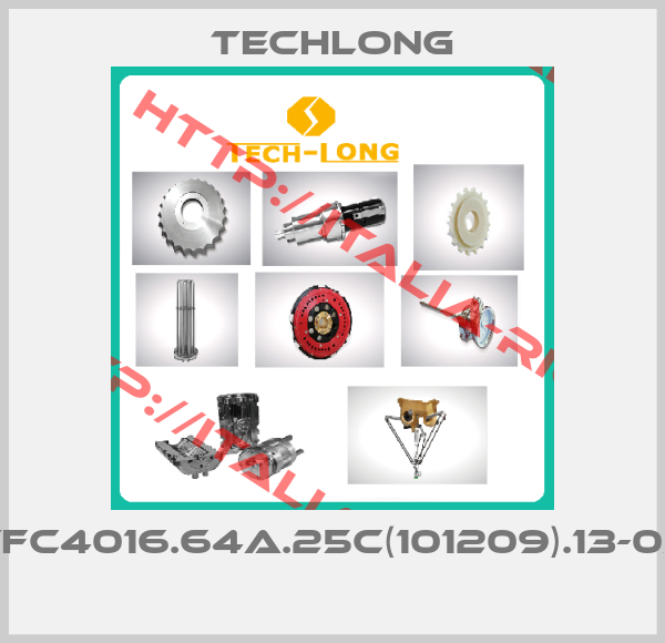TECHLONG-TFC4016.64A.25C(101209).13-03 