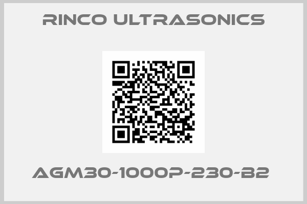 Rinco Ultrasonics-AGM30-1000P-230-B2 