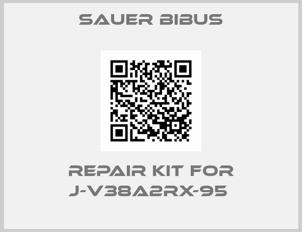 SAUER BIBUS-Repair kit for J-V38A2RX-95 