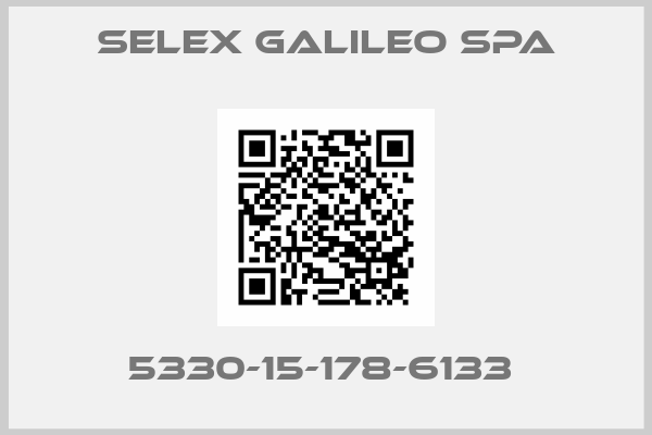 SELEX GALILEO SPA-5330-15-178-6133 