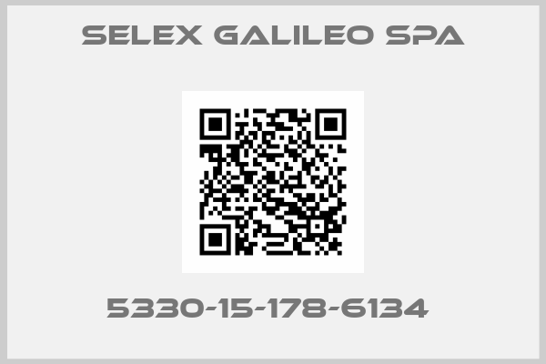 SELEX GALILEO SPA-5330-15-178-6134 