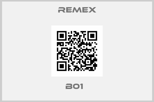 Remex-B01  