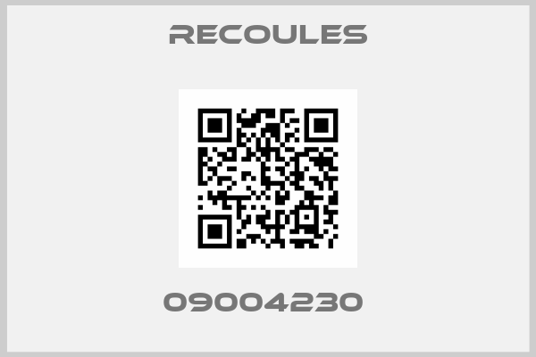Recoules-09004230 