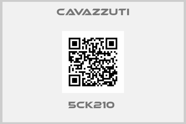 Cavazzuti-5CK210 