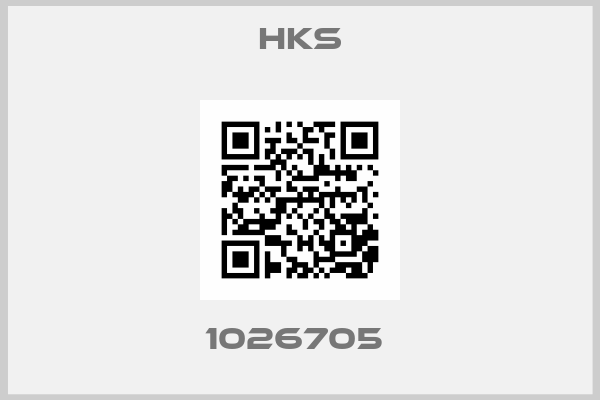 Hks-1026705 