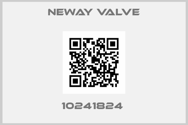 Neway Valve-10241824 