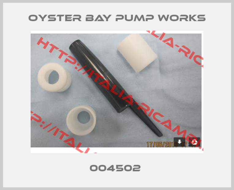 Oyster Bay Pump Works-004502 