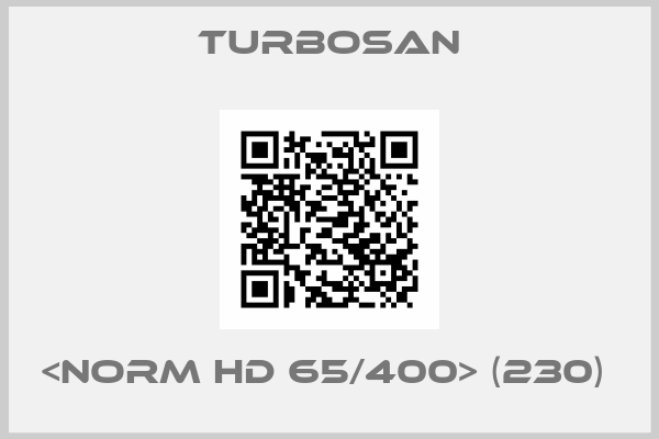Turbosan-<NORM HD 65/400> (230) 