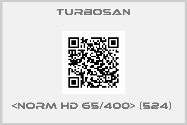 Turbosan-<NORM HD 65/400> (524) 