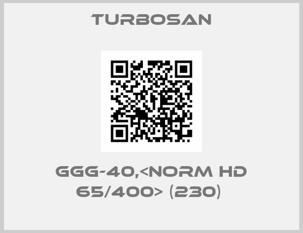 Turbosan-GGG-40,<NORM HD 65/400> (230) 