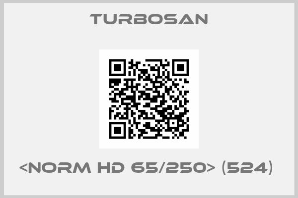 Turbosan-<NORM HD 65/250> (524) 