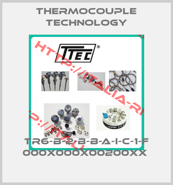 Thermocouple Technology- TR6-B-2-B-B-A-I-C-1-F 000X000X00200XX 