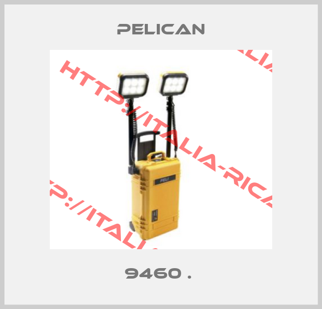 Pelican-9460 . 