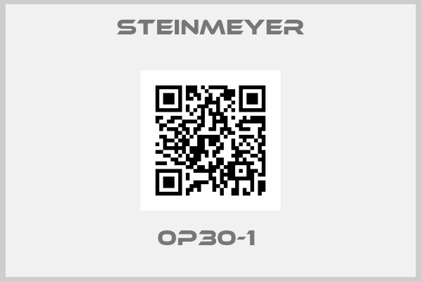 Steinmeyer-0P30-1 