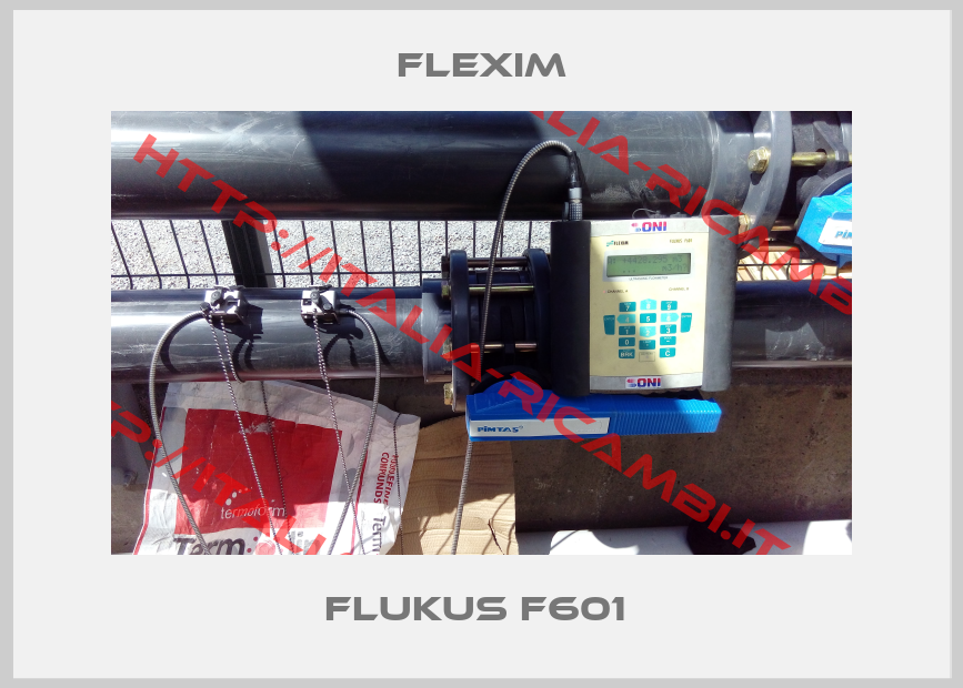 Flexim-FLUKUS F601 