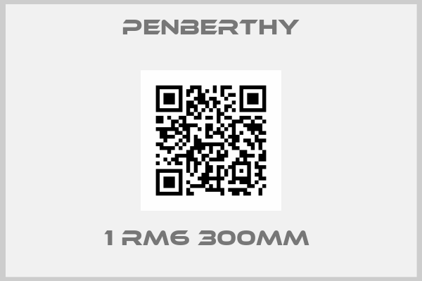 Penberthy-1 RM6 300MM 