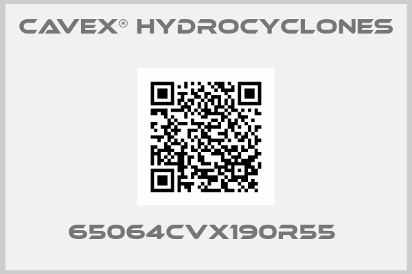 CAVEX® Hydrocyclones-65064CVX190R55 