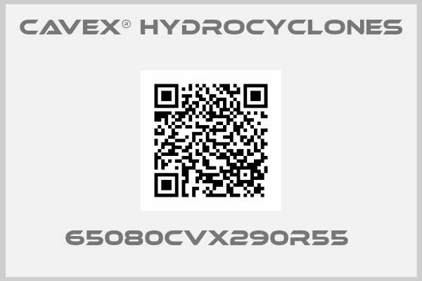 CAVEX® Hydrocyclones-65080CVX290R55 