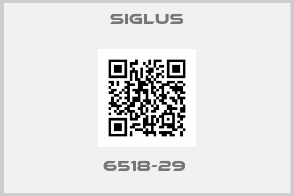 Siglus-6518-29 