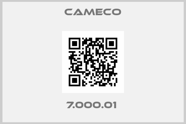 Cameco-7.000.01 