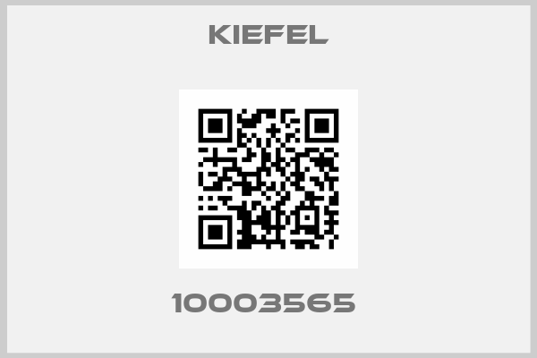 Kiefel-10003565 