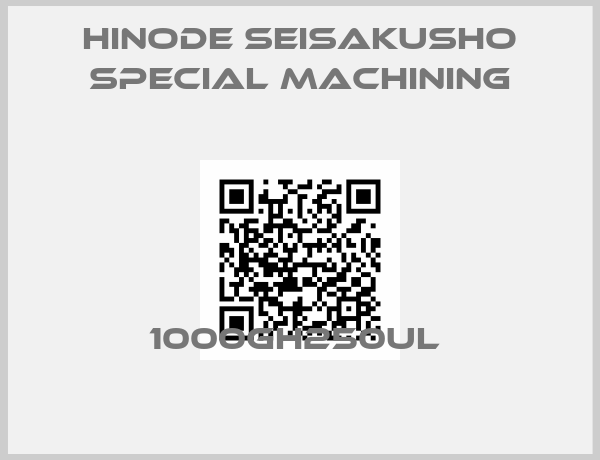 Hinode Seisakusho Special Machining-1000GH250UL 