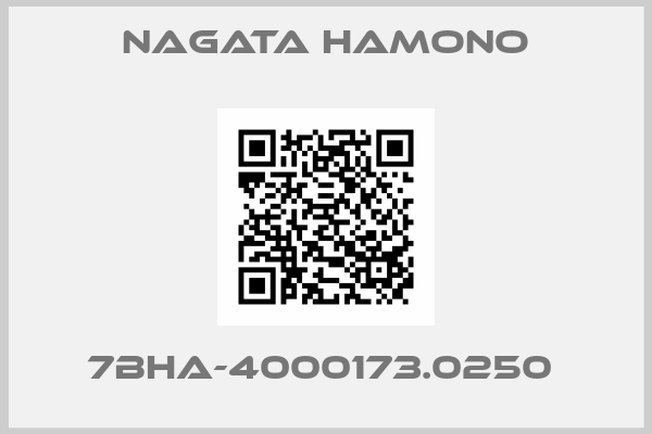 NAGATA HAMONO-7BHA-4000173.0250 