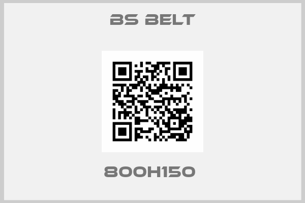 Bs Belt-800H150 
