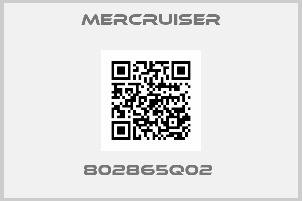 Mercruiser-802865Q02 