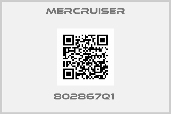 Mercruiser-802867Q1 