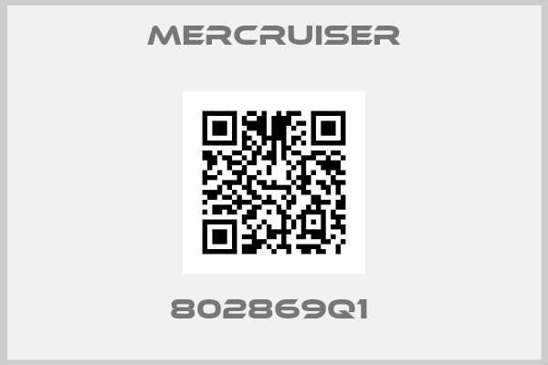 Mercruiser-802869Q1 
