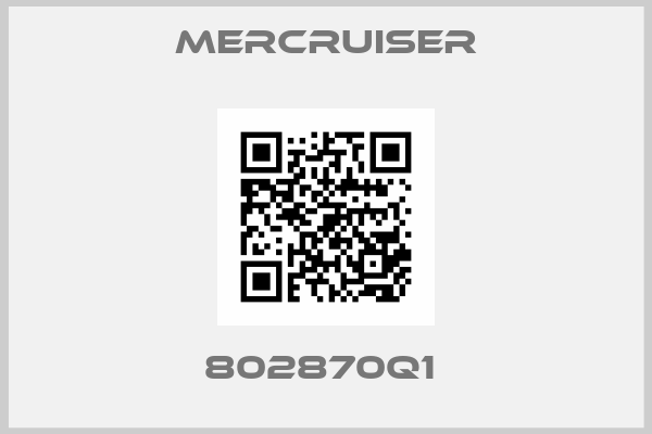 Mercruiser-802870Q1 
