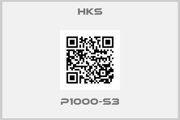 Hks-P1000-S3
