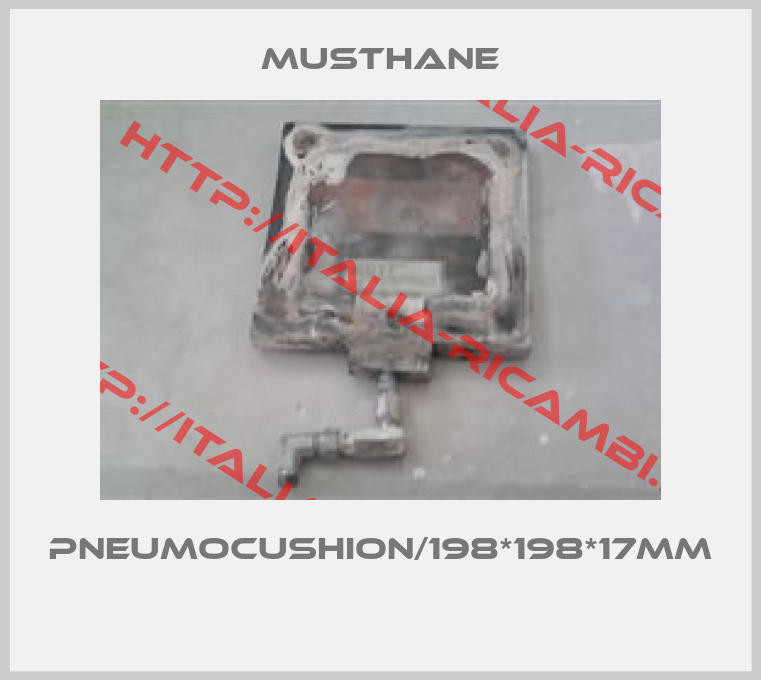 MUSTHANE-pneumocushion/198*198*17mm 