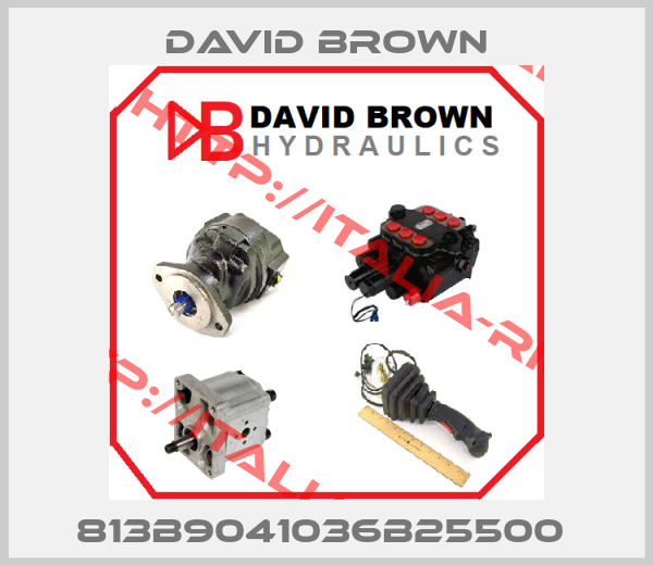 David Brown-813B9041036B25500 