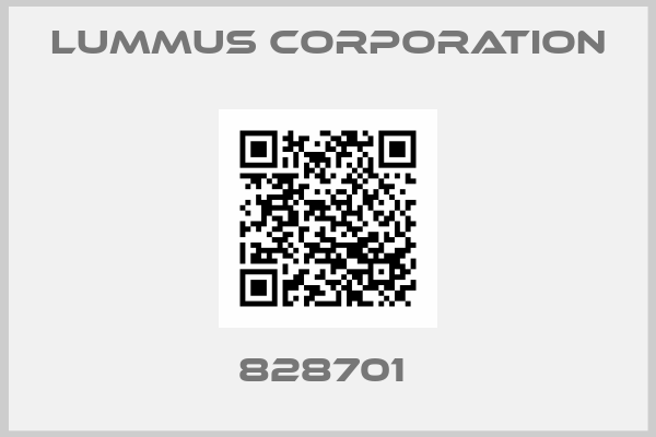 Lummus Corporation-828701 
