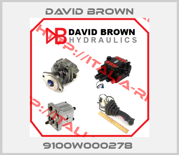 David Brown-9100W000278 
