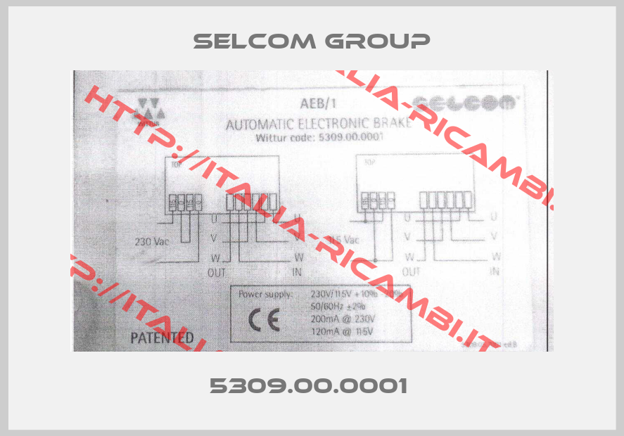 Selcom Group-5309.00.0001 