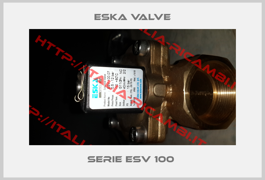 Eska Valve-Serie ESV 100 