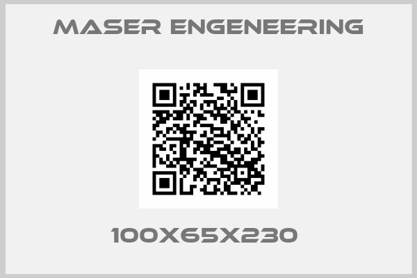 Maser Engeneering-100X65X230 