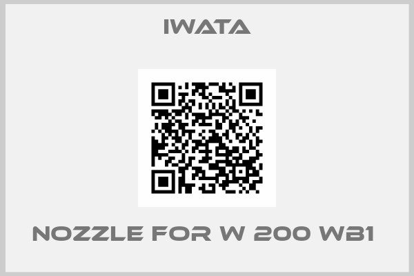 Iwata-Nozzle for W 200 WB1 