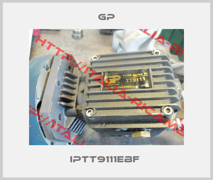 GP-IPTT9111EBF 